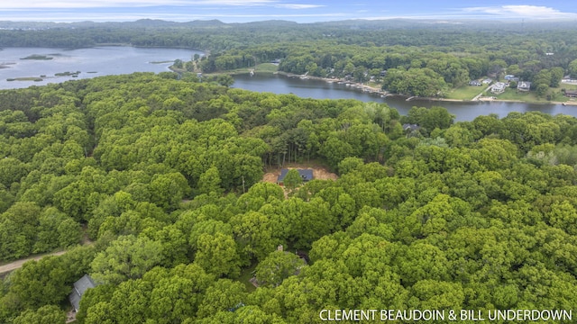 6312 Silver Lake Dr, Saugatuck, MI 49453 - photo 24