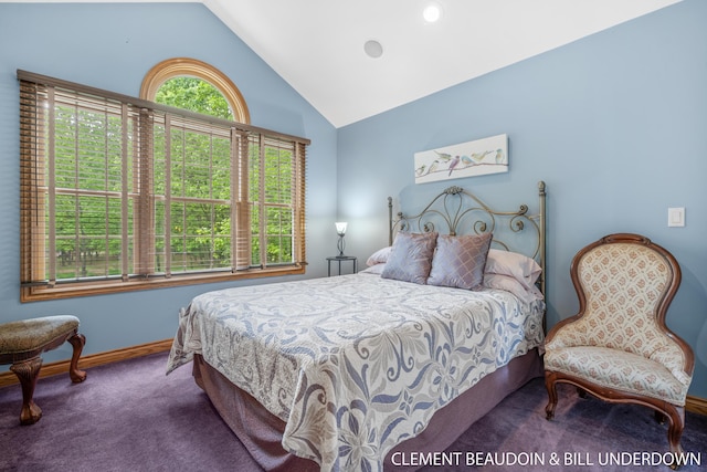 6312 Silver Lake Dr, Saugatuck, MI 49453 - photo 36