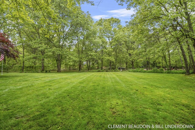 6312 Silver Lake Dr, Saugatuck, MI 49453 - photo 74