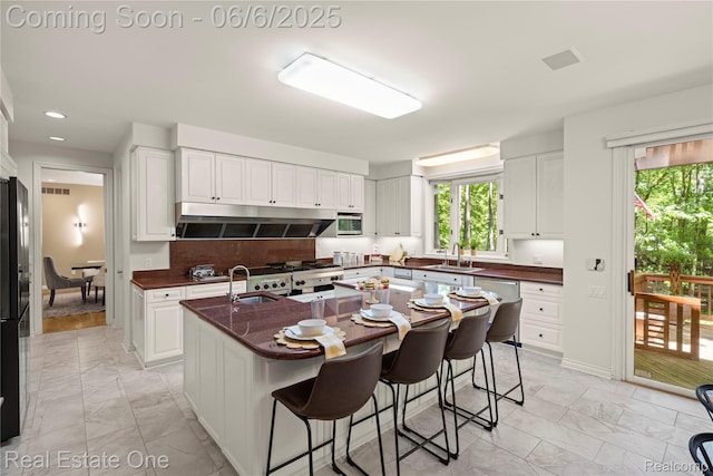 6212 Bromley Ct, West Bloomfield, MI 48322 - kitchen with under cabinet range hood, light marble finish floors, a sink, white cabinets, and recessed lighting