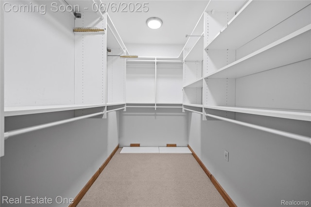 6212 Bromley Ct, West Bloomfield, MI 48322 - spacious closet featuring carpet
