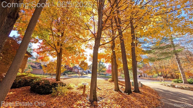 6212 Bromley Ct, West Bloomfield, MI 48322 - view of home's community