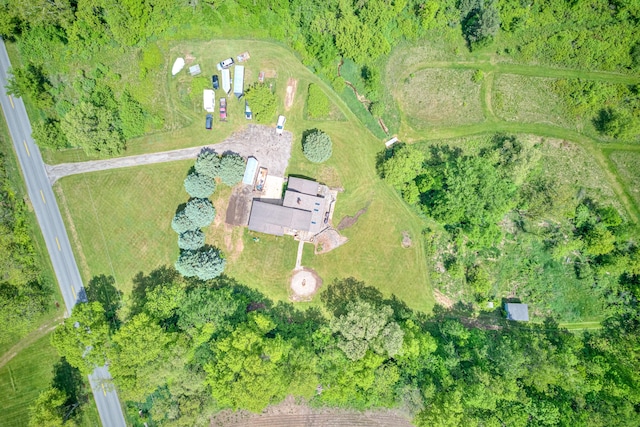 4470 Peach Ridge Ave NW, Grand Rapids, MI 49544 - bird's eye view
