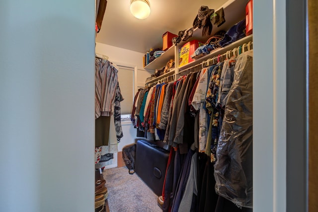4470 Peach Ridge Ave NW, Grand Rapids, MI 49544 - spacious closet featuring carpet
