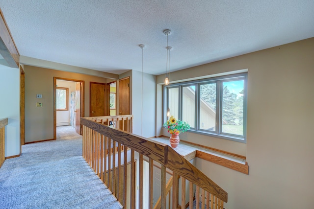 4470 Peach Ridge Ave NW, Grand Rapids, MI 49544 - corridor featuring an upstairs landing, healthy amount of natural light, a textured ceiling, baseboards, and light carpet