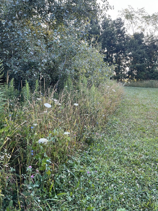 4470 Peach Ridge Ave NW, Grand Rapids, MI 49544 - view of undeveloped land