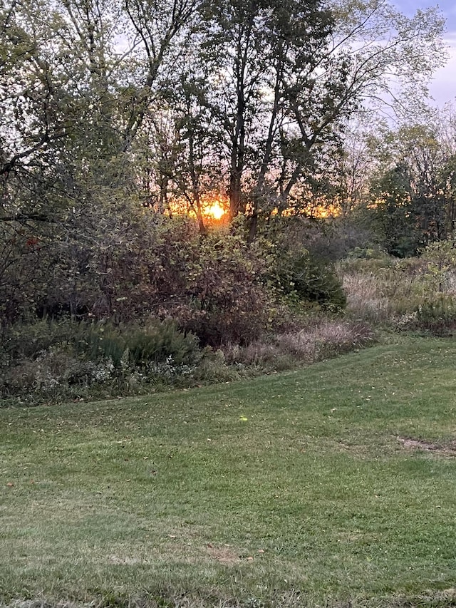 4470 Peach Ridge Ave NW, Grand Rapids, MI 49544 - view of grassy yard