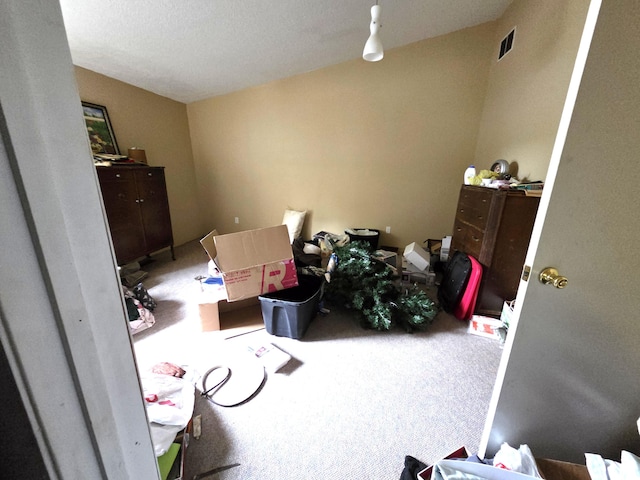 487 E Elizabeth St, Stockbridge, MI 49285 - view of carpeted bedroom