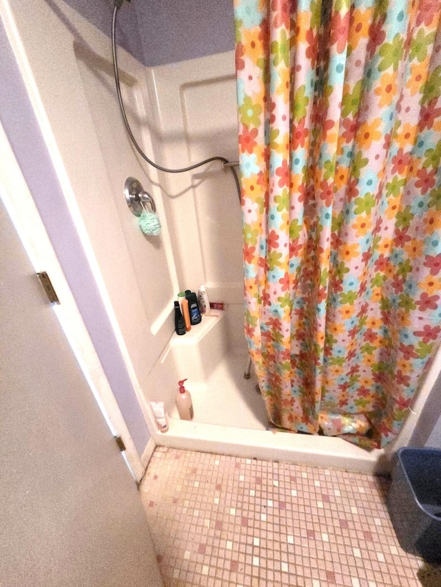 487 E Elizabeth St, Stockbridge, MI 49285 - bathroom featuring a shower stall