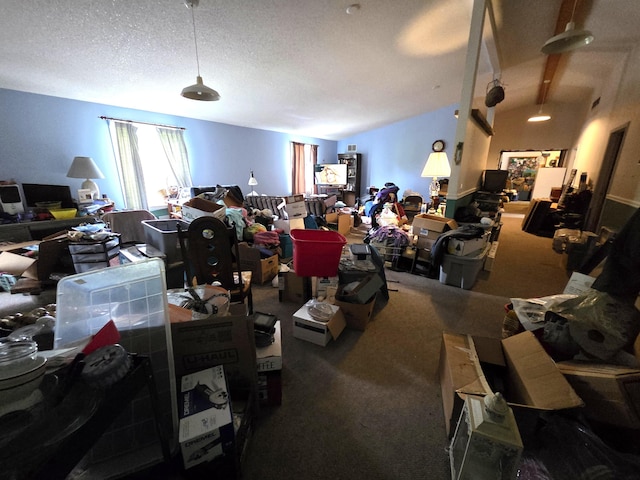 487 E Elizabeth St, Stockbridge, MI 49285 - misc room with carpet and a textured ceiling