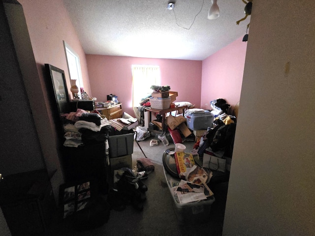 487 E Elizabeth St, Stockbridge, MI 49285 - bedroom with carpet flooring and a textured ceiling