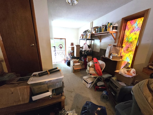 487 E Elizabeth St, Stockbridge, MI 49285 - miscellaneous room featuring carpet floors and a textured ceiling
