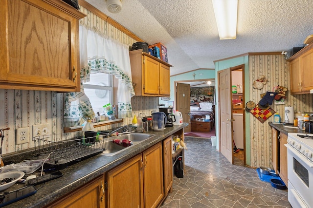 15250 142nd Ave, Big Rapids, MI 49307 - kitchen with a sink, white range oven, a textured ceiling, dark countertops, and brown cabinets