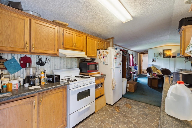 15250 142nd Ave, Big Rapids, MI 49307 - kitchen featuring white appliances, under cabinet range hood, a textured ceiling, dark stone finish floors, and dark countertops