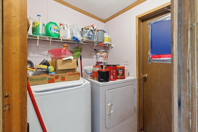 15250 142nd Ave, Big Rapids, MI 49307 - laundry area with independent washer and dryer, crown molding, and a textured ceiling