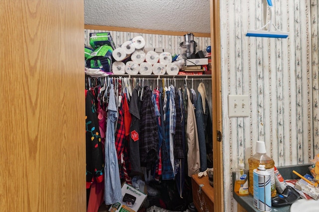 15250 142nd Ave, Big Rapids, MI 49307 - view of walk in closet
