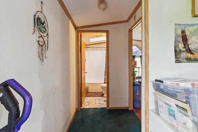 15250 142nd Ave, Big Rapids, MI 49307 - hallway featuring ornamental molding, carpet, and a textured ceiling