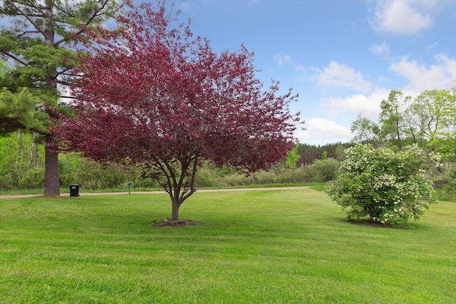 15250 142nd Ave, Big Rapids, MI 49307 - view of grassy yard