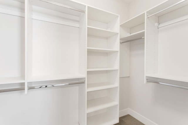 14984 Fillmore St, West Olive, MI 49460 - view of spacious closet
