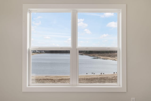 14984 Fillmore St, West Olive, MI 49460 - water view