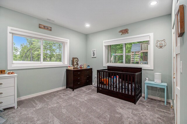 1881 Sienna St, Kalamazoo, MI 49009 - photo 29