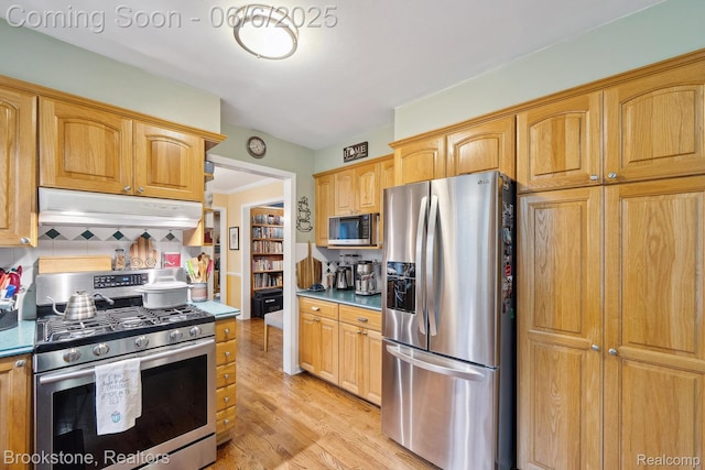 2831 Aurora Dr, Lake Orion, MI 48360 - kitchen featuring appliances with stainless steel finishes, under cabinet range hood, decorative backsplash, and light wood-type flooring