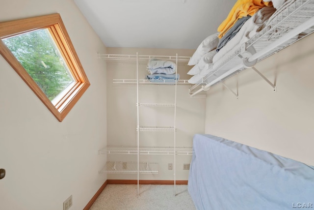 227 Lake View Dr, Hudson, MI 49247 - view of walk in closet