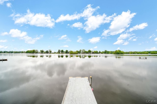 227 Lake View Dr, Hudson, MI 49247 - dock with a water view