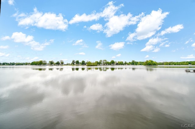 227 Lake View Dr, Hudson, MI 49247 - water view