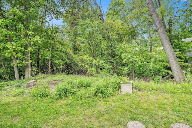 298 Chasseral Ct NW, Comstock Park, MI 49321 - view of yard