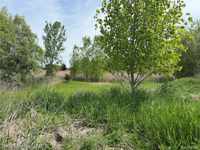 3020 Merwin Rd, Lapeer, MI 48446