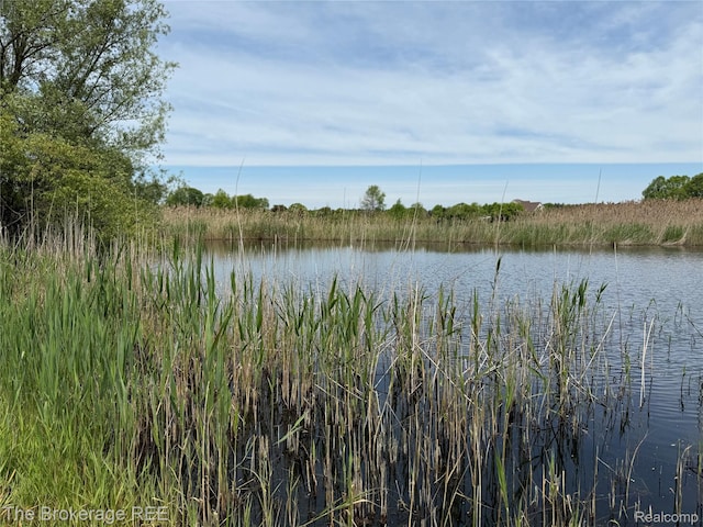 3020 Merwin Rd, Lapeer, MI 48446