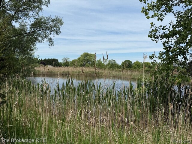 3020 Merwin Rd, Lapeer, MI 48446