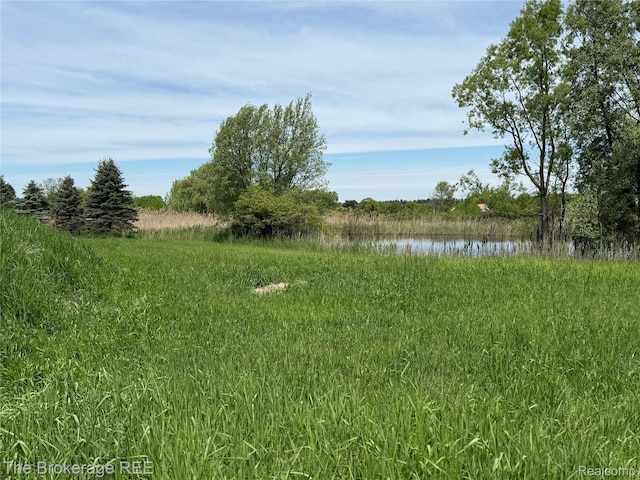 3020 Merwin Rd, Lapeer, MI 48446