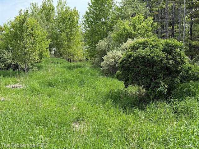 3020 Merwin Rd, Lapeer, MI 48446