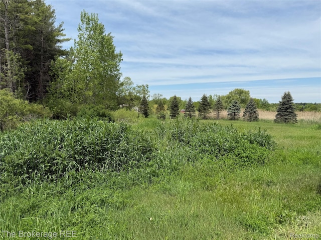 3020 Merwin Rd, Lapeer, MI 48446