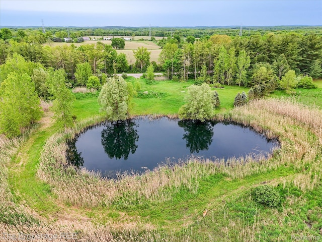 3020 Merwin Rd, Lapeer, MI 48446