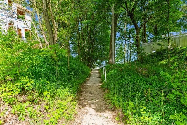 15826 Lakeshore Rd Unit 1, Union Pier, MI 49129 - view of road