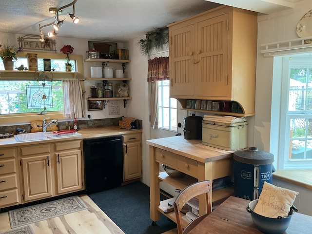 50 N Sprague St, Coldwater, MI 49036 - kitchen featuring black dishwasher, a sink, light wood-style floors, open shelves, and butcher block countertops