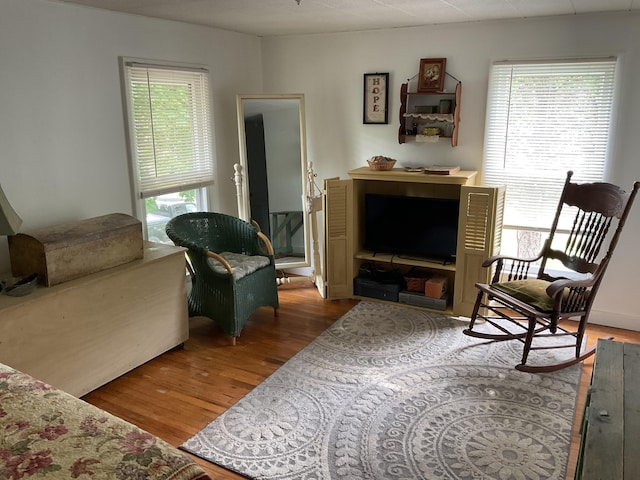 50 N Sprague St, Coldwater, MI 49036 - living area featuring plenty of natural light and wood finished floors