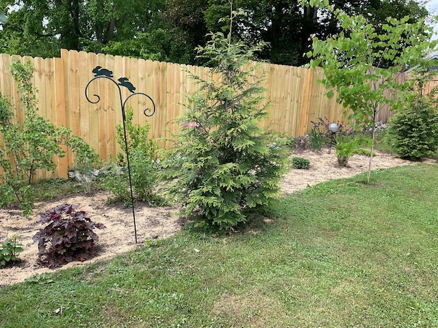 50 N Sprague St, Coldwater, MI 49036 - view of yard