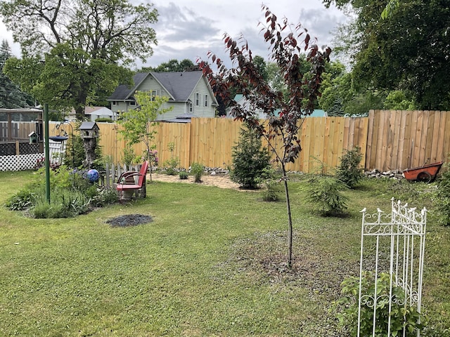 50 N Sprague St, Coldwater, MI 49036 - view of yard