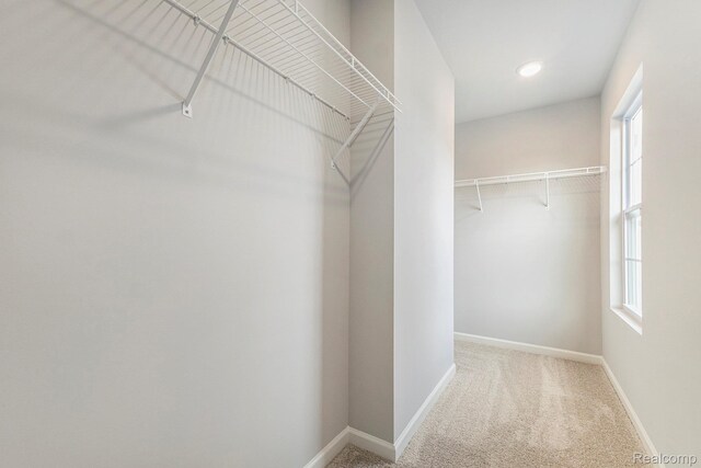 6270 Tommy Trl, Mount Morris, MI 48458 - walk in closet featuring carpet flooring