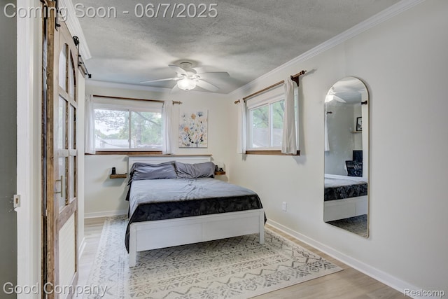 4511 Rosewold Ave, Royal Oak, MI 48073 - bedroom with multiple windows, a textured ceiling, wood finished floors, baseboards, and crown molding