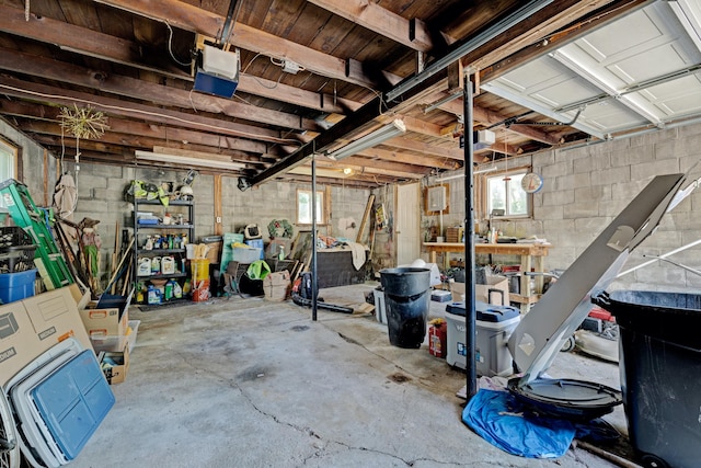 350 N Broadway St, Lake Orion, MI 48362 - below grade area with plenty of natural light and concrete block wall
