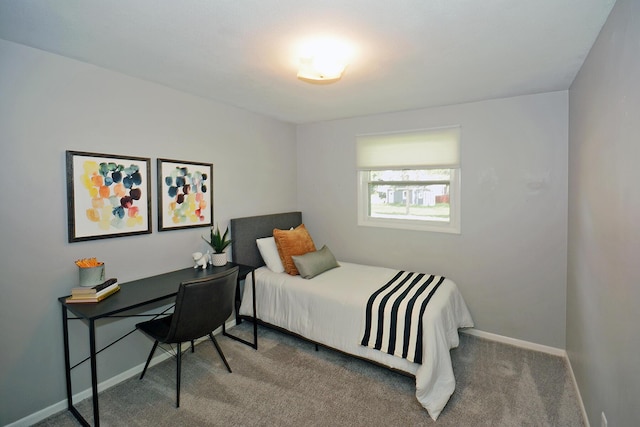 222 S Park St, Zeeland, MI 49464 - bedroom with carpet and baseboards