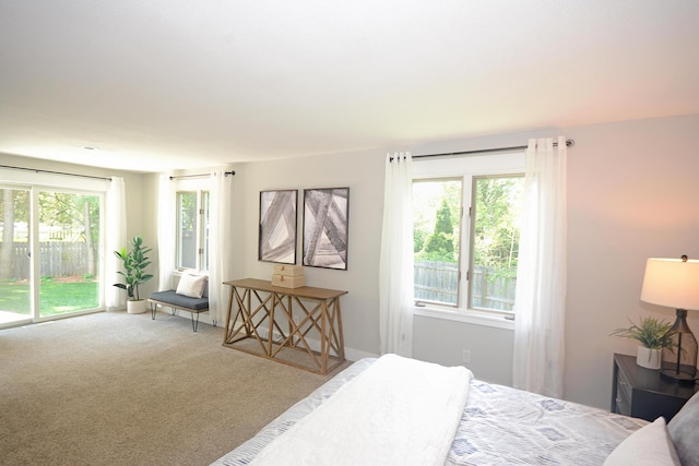 222 S Park St, Zeeland, MI 49464 - bedroom with access to exterior and carpet floors