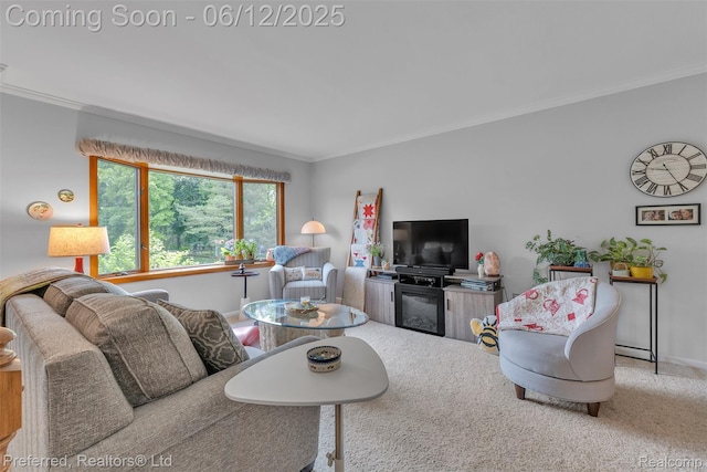 23637 Cranbrooke Dr, Novi, MI 48375 - living area featuring ornamental molding, baseboards, and carpet