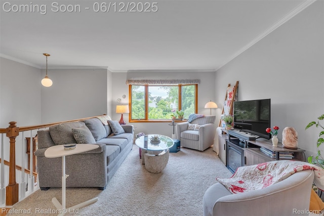 23637 Cranbrooke Dr, Novi, MI 48375 - carpeted living area with ornamental molding