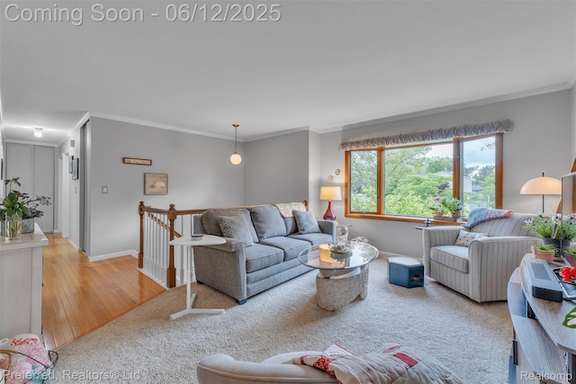 23637 Cranbrooke Dr, Novi, MI 48375 - living room featuring crown molding, wood-type flooring, and baseboards